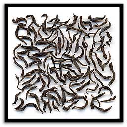 Lapsang Souchong