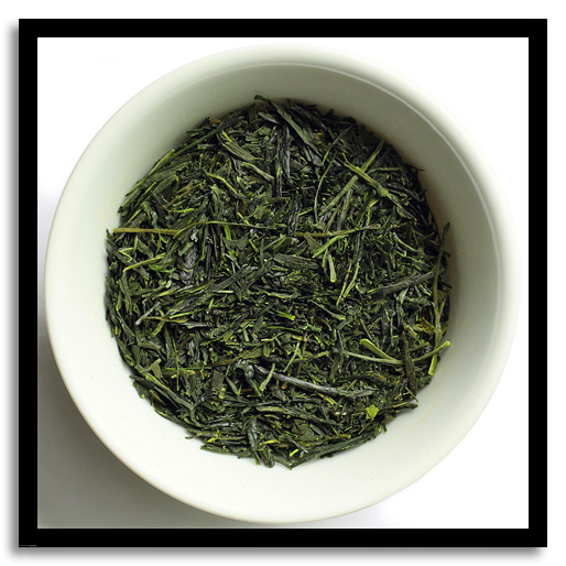 Sencha