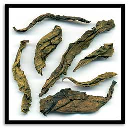 Green Leaf Puerh