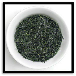 Sencha