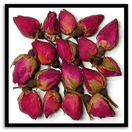 Rose Buds